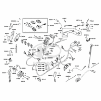 Elektrische Anlage & Schlosssatz