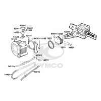 Zylinder & Kurbelwelle