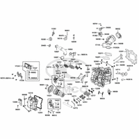 Zylinderkopf & Ventiltrieb