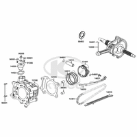 Zylinder & Kurbelwelle