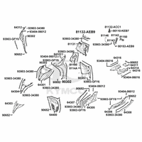 Verkleidung vorne & Trittbrett