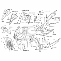 Verkleidung vorne & Trittbrett
