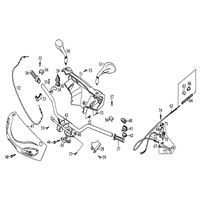 Lenker, Spiegel, Gaszug & Verkleidung