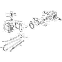 Zylinder & Kurbelwelle