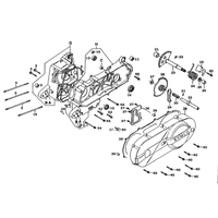 Kurbelgehäuse kpl. & Variomatikdeckel