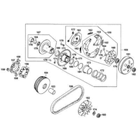 Fliehkraftkupplung & Variomatik