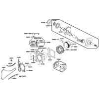 Zylinder & Kurbelwelle