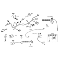 Elektrische Anlage & Schloß kpl.