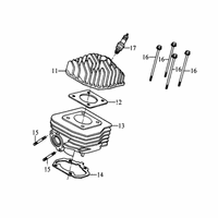 Zylinder & Zylinderkopf