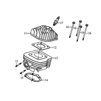 Zylinder & Zylinderkopf