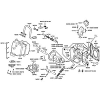 Zylinderkopf & Ventiltrieb