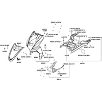 Verkleidungen vorne & Trittbrett