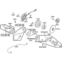 Lichtmaschine, Anlasser & Ölpumpe