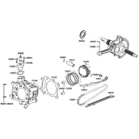 Zylinder & Kurbelwelle