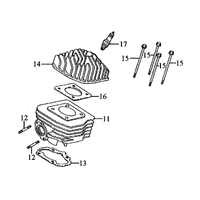 Zylinder & Zylinderkopf