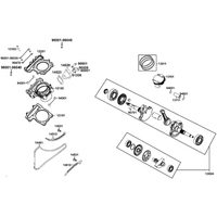 Zylinder & Kurbelwelle