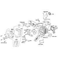 Zylinderkopf & Ventiltrieb