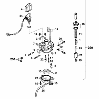 Vergaser für Euro 2