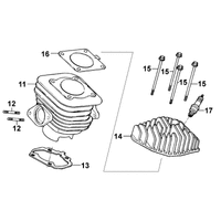 Zylinder & Zylinderkopf