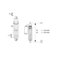 FEDERBEIN WP