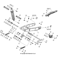 HINTERRADSCHWINGE / STOSSDAEMPFER