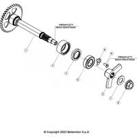 KURBELWELLE/KOLBEN/AUSGLEICHSWELLE