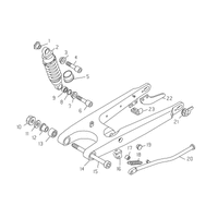SCHWINGARM
