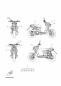 Graphik U. Emblem - SLIDER NAKED - EW50N - 2014 - Yamaha