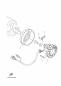 Lichtmaschine - MT-07 - MT07 - 2015 - Yamaha