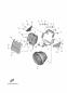 Scheinwerfer - XSR900 - MTM890 - 2022 - Yamaha