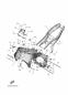 Rahmen - MT-09 - MTN890 - 2025 - Yamaha