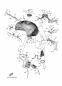 Kraftstofftank - TRACER 9 - MTT890 - 2024 - Yamaha