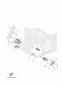 Olpumpe - TRICITY 300 - MWD300 - 2022 - Yamaha