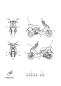 Graphik U. Emblem - AEROX - YQ50 - 2009 - Yamaha