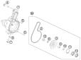 Wasserpumpe - RC 250 WHITE ABS B.D. - 2015 - Ktm