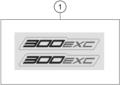 Dekor - 300 EXC - 2024 - Ktm