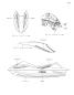 Decals - JET SKI STX 160X - 2024 - Kawasaki