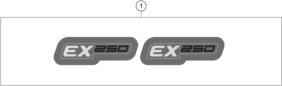 Dekor - EX 250 - 2024 - Gasgas