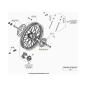 Hinterrad - EVO300 4T - 2020 - Beta