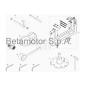 Spezialwerkzeug - RR 250 2T - 2021 - Beta