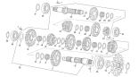 Getriebe - 250 SEF-R FACTORY 2021 - 2021 - Sherco