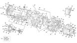 Kurbelwellengehaeuse - 300 SE 2T RACING HOMOL 2018 PLUS - 2018 - Sherco